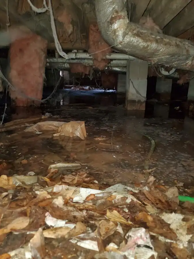 Crawl space flood assessment for Commercial Water Damage Restoration in Lakeside