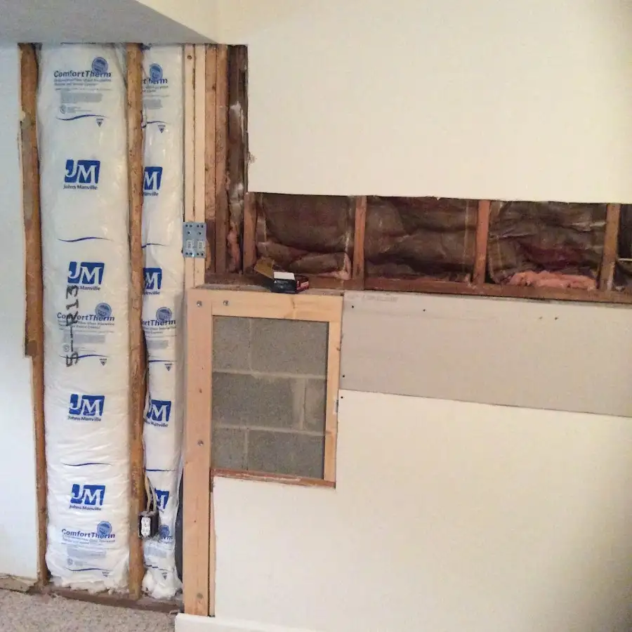 Wall insulation replacement during Odor Removal & Deodorization in Lakeside